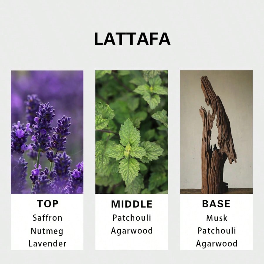 Lattafa Badee Al Oud For Glory - Perfume And Fragrance avis et prix