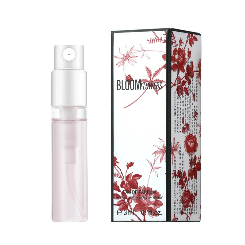 Atomiseur de Voyage Portable 3 - Perfume Fragrance Long Lasting avis et prix