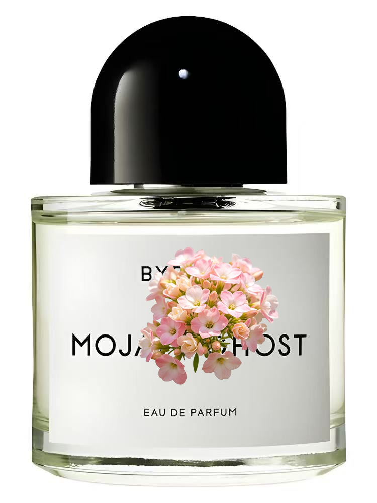Eau de Parfum Unisexe 100ml 3. - Amber Musk Oil avis et prix